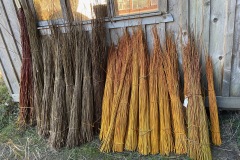 IMG_5769